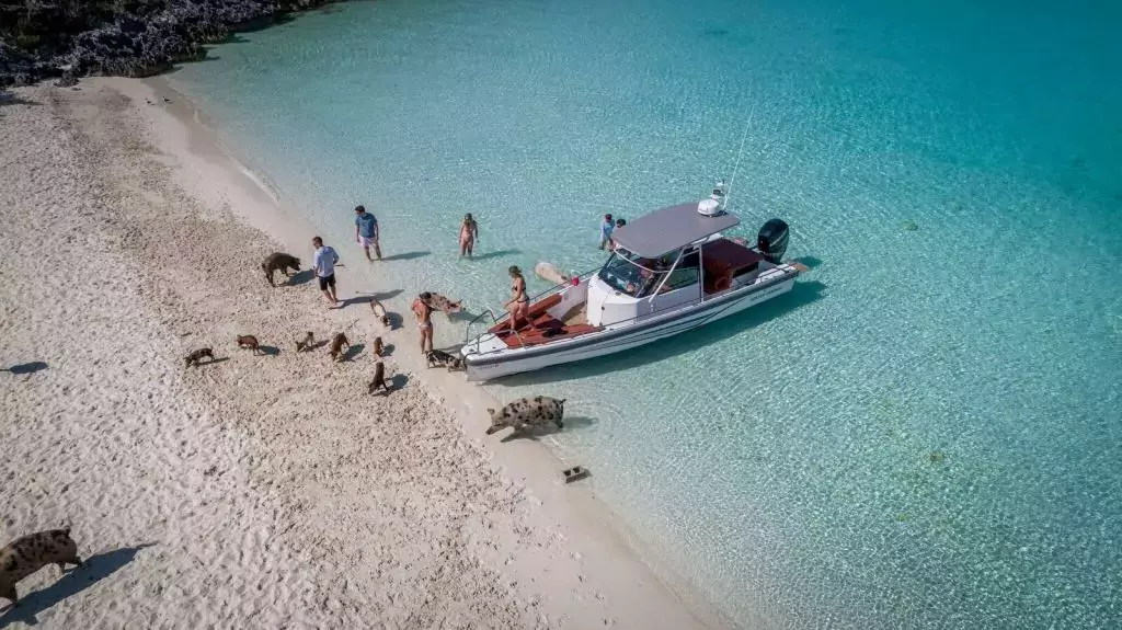 Blue Gryphon by Prout International - Special Offer for a private Luxury Catamaran Charter in Abacos with a crew