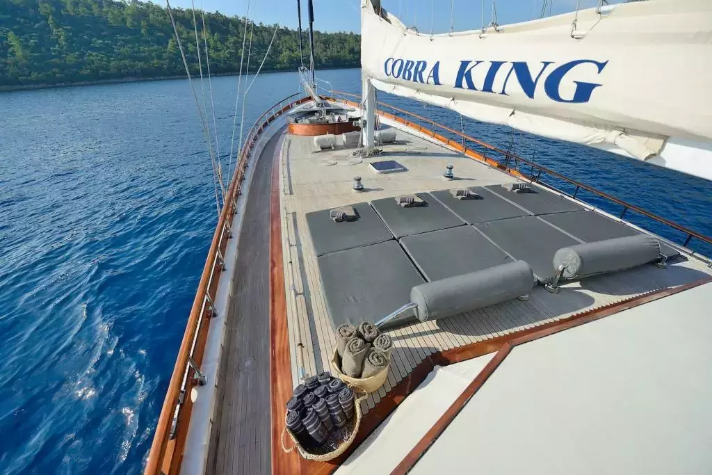 Cobra King by Cobra Yacht - Top rates for a Charter of a private Motor Sailer in Italy