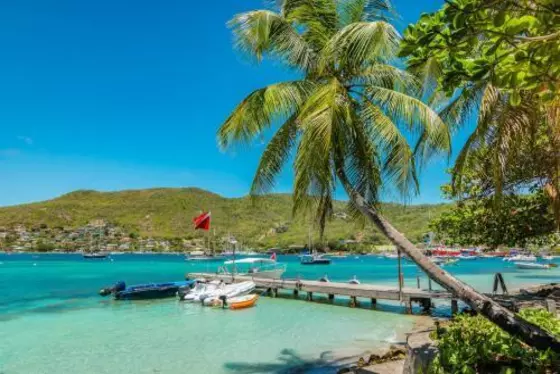 Grenadines
