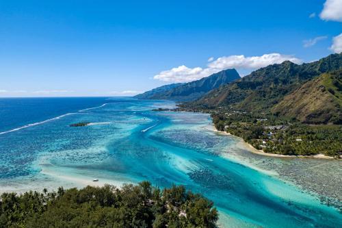 Search and compare prices for Boat Rental, Hire and Yacht Charter in French Polynesia