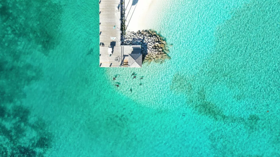 Harbour Island Yacht — Guide gallery — image 3 of 3