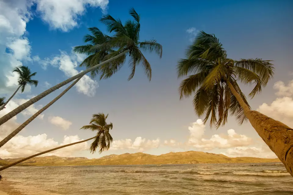 Grenadines Yacht — Guide gallery — image 2 of 3