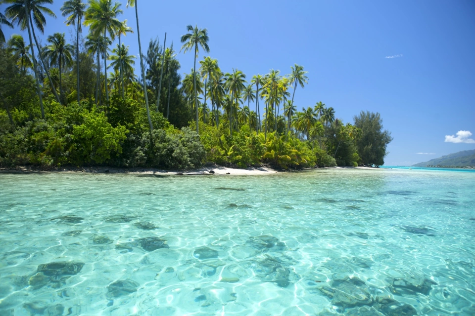 Tahiti Yacht — Guide gallery — image 2 of 3