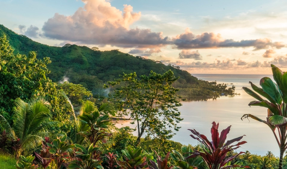Tahiti Yacht — Guide gallery — image 3 of 3