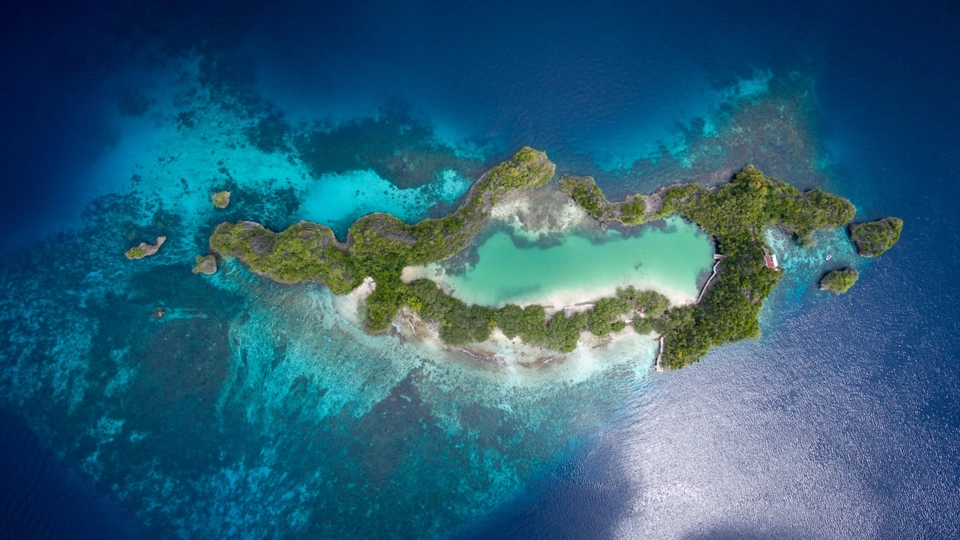 Raja Ampat Yacht — Guide gallery — image 3 of 3