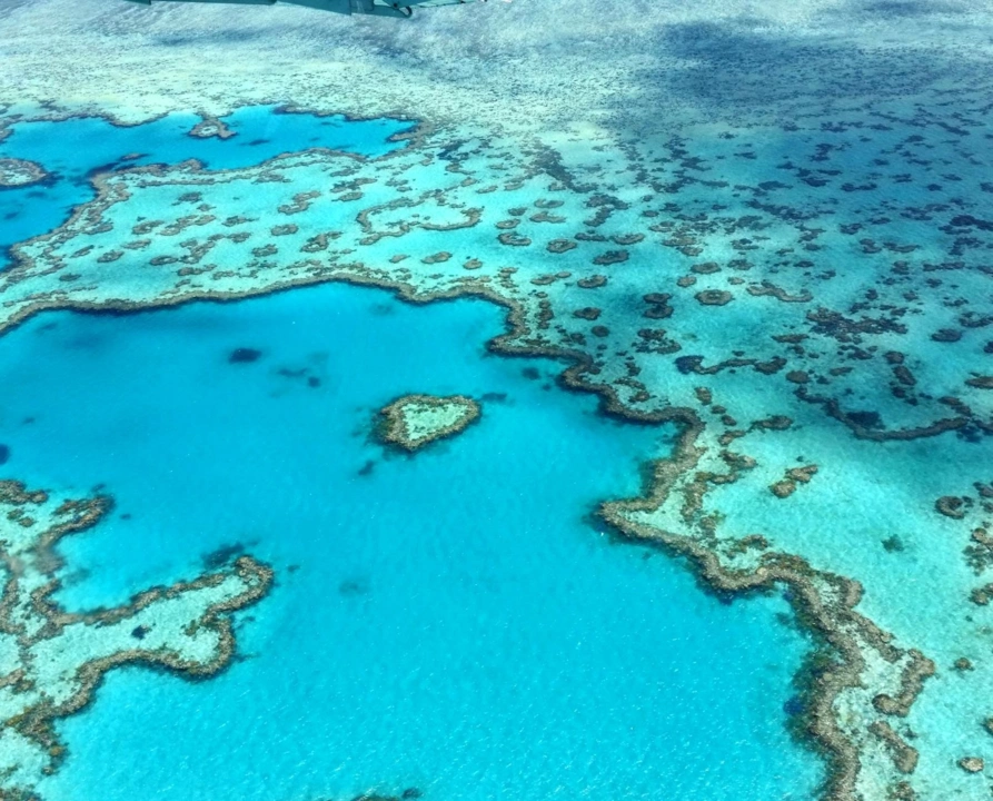 Great Barrier Reef Yacht — Guide gallery — image 1 of 3