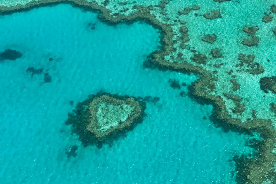 Great Barrier Reef Yacht — Guide gallery — image 3 of 3