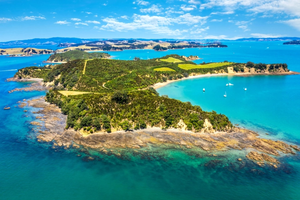 New Zealand Yacht — Guide gallery — image 1 of 3