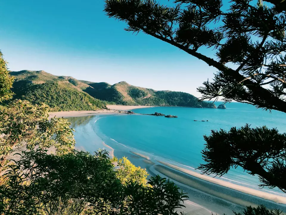 Bay Of Islands Yacht — Guide gallery — image 2 of 3