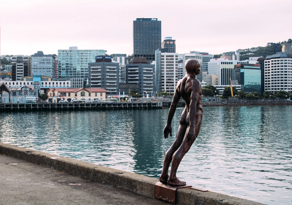 Wellington Yacht — Guide gallery — image 2 of 3