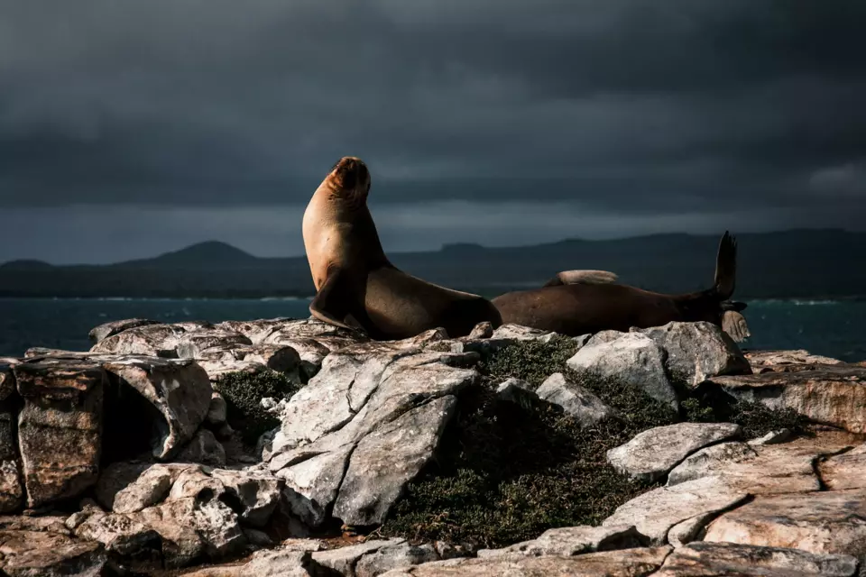 Galapagos Yacht — Guide gallery — image 2 of 3