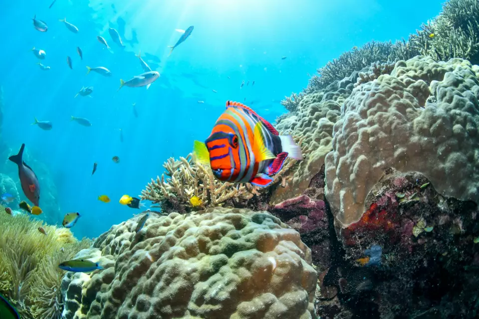 Great Barrier Reef Yacht — Itinerary gallery — image 2 of 3