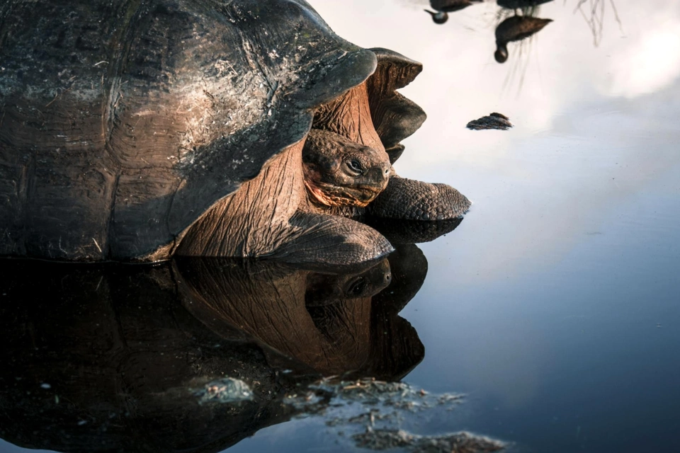 Galapagos Yacht — Itinerary gallery — image 1 of 3