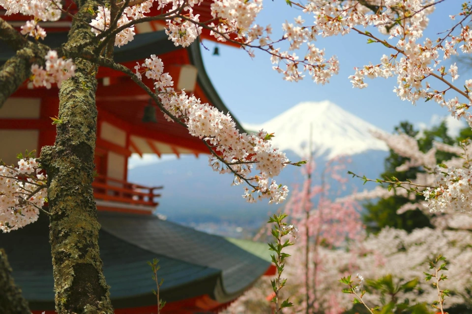 Japan Yacht — Itinerary gallery — image 1 of 3