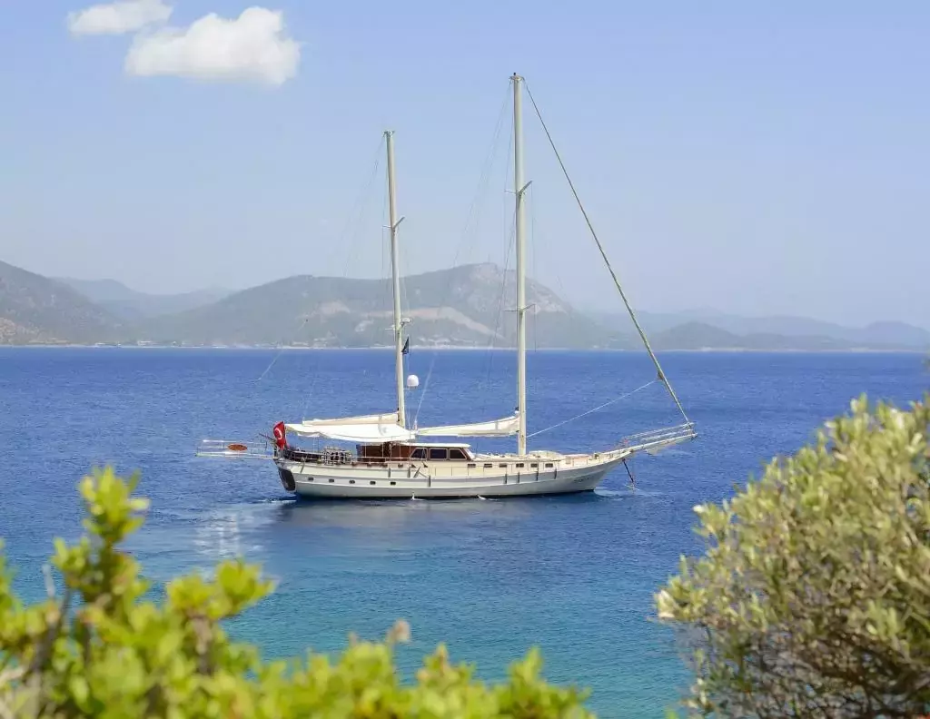 Cobra III by Cobra Yacht - Special Offer for a private Motor Sailer Charter in Mykonos with a crew
